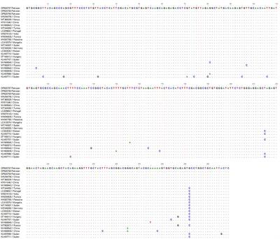 Molecular prevalence and associated risk factors of Anaplasma ovis in Pakistani sheep